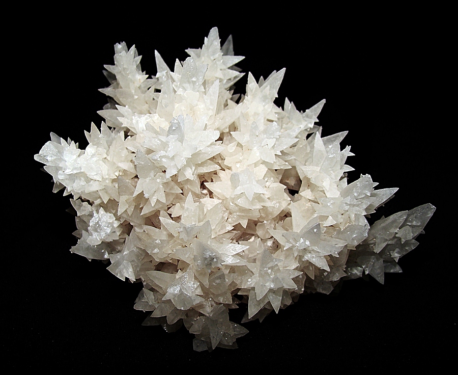 kalcyt