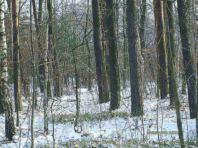 zdjęcie nr 5