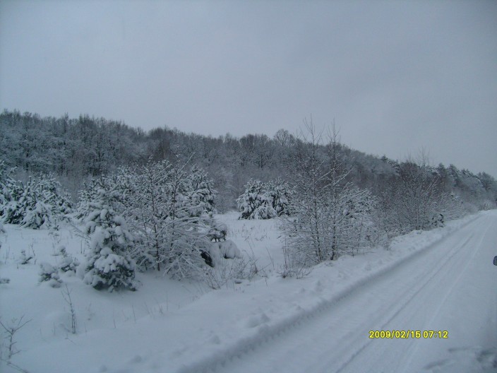 Powtórzone zdjęcie nr 4