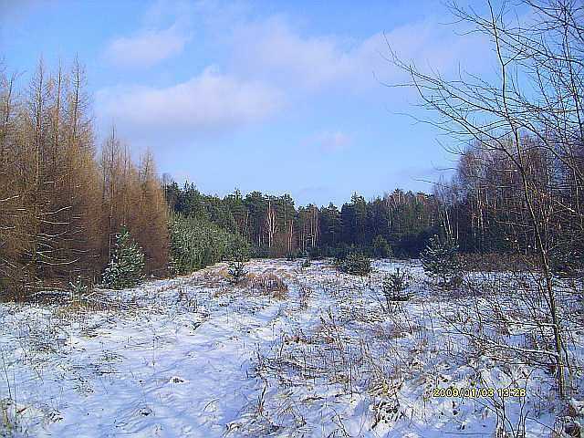 zdjęcie nr 6
