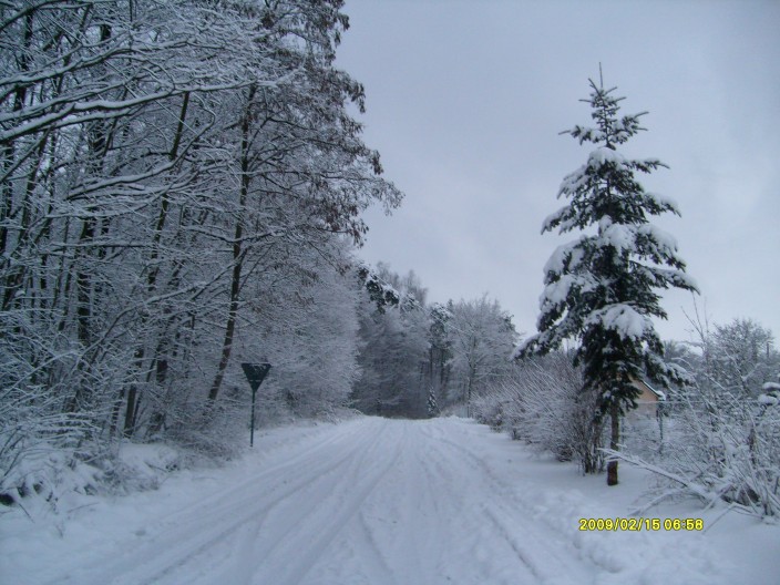 Zdjęcie Nr 8