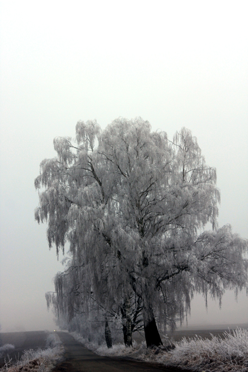 ...Ent...